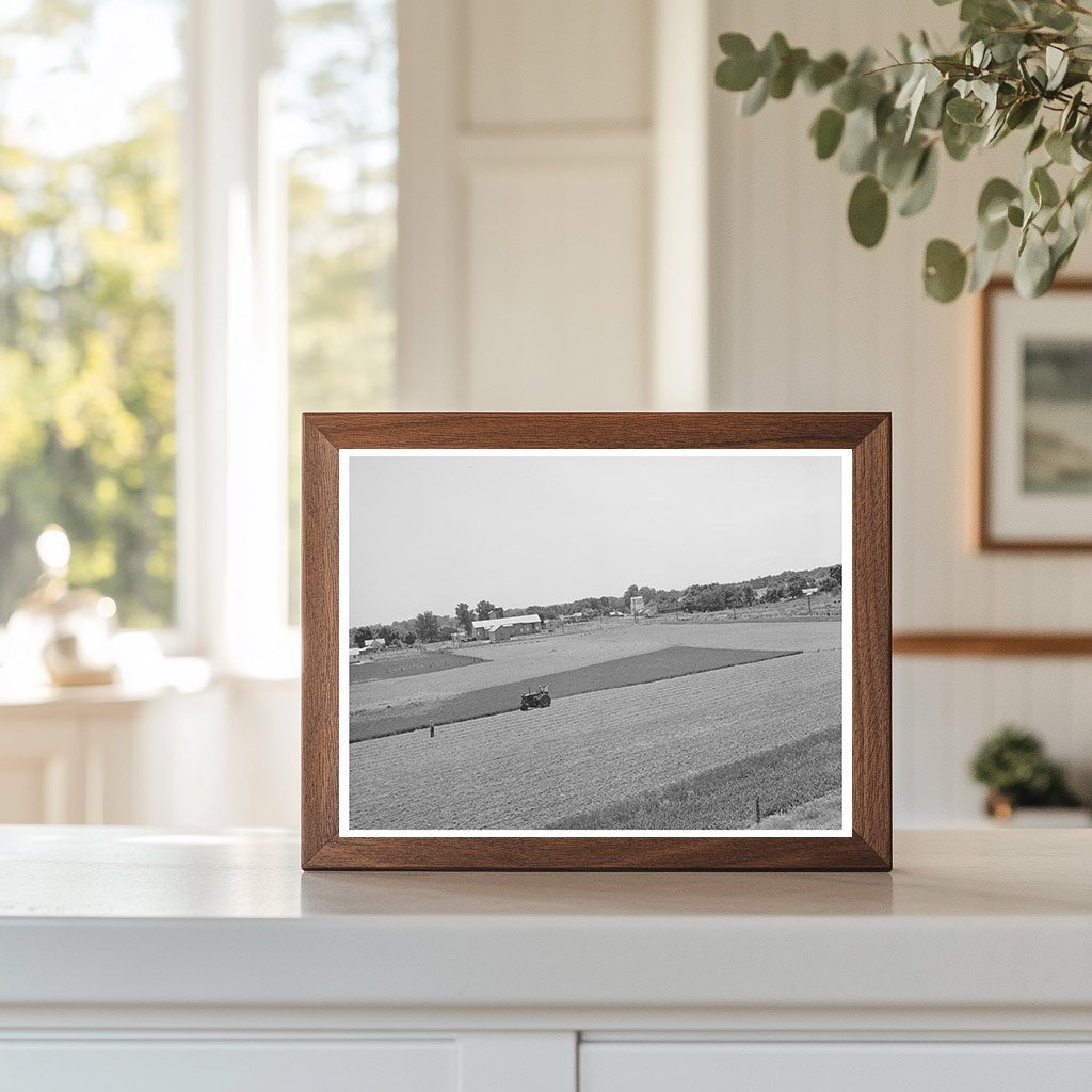 Tractor Cutting Alfalfa in Lincoln County Oklahoma 1939