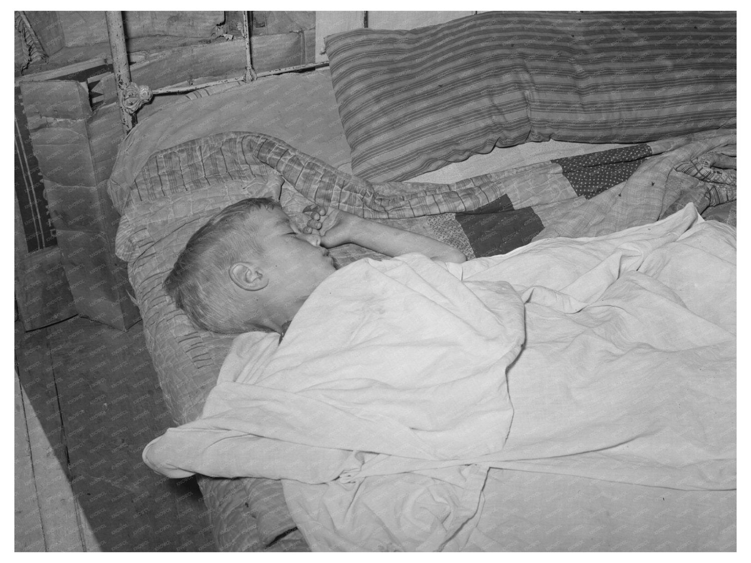Boy Asleep in Arkansas River Bottom June 1939