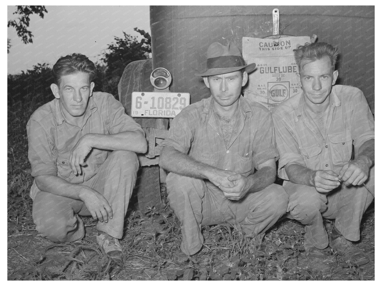 Florida Migrants Working in Oklahoma Fields June 1939