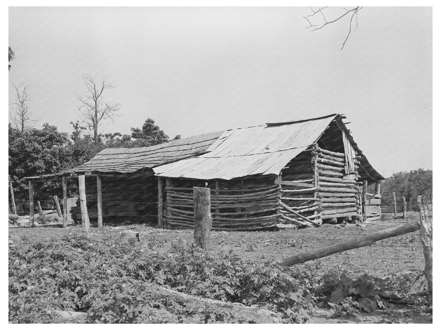 Indian Tenant Farmers Barn McIntosh County Oklahoma 1939