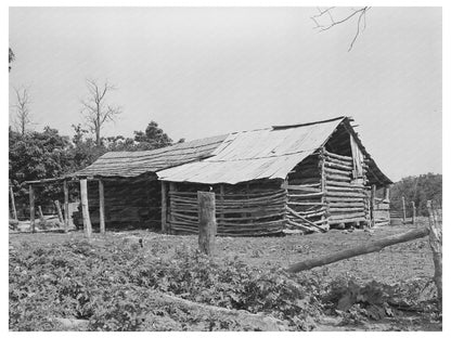 Indian Tenant Farmers Barn McIntosh County Oklahoma 1939