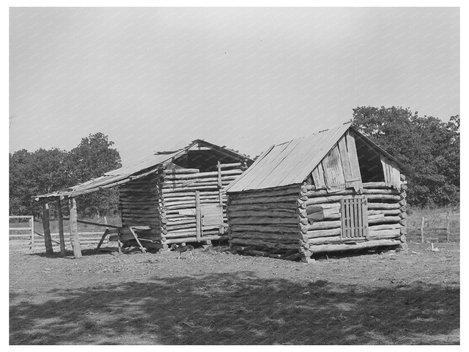 White Tenant Farmer Barns McIntosh County Oklahoma 1939