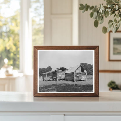 White Tenant Farmer Barns McIntosh County Oklahoma 1939