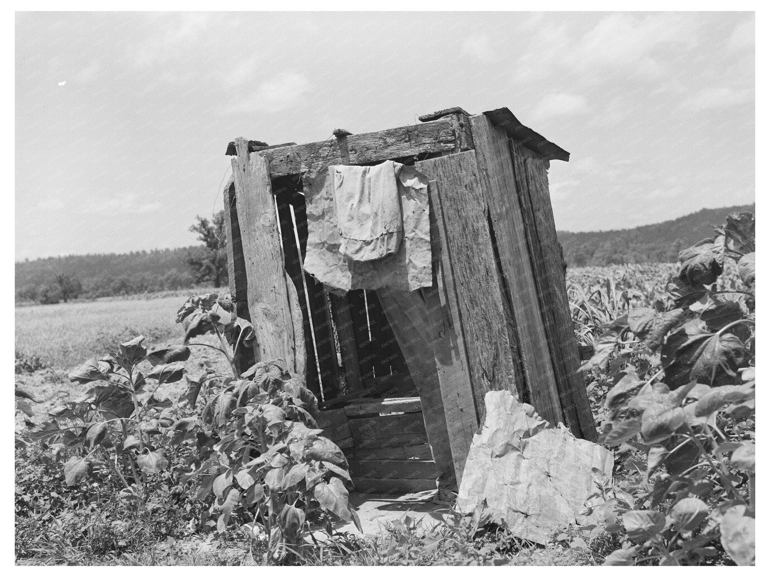 1939 Vintage Tenant Farmer Privy in Vian Oklahoma