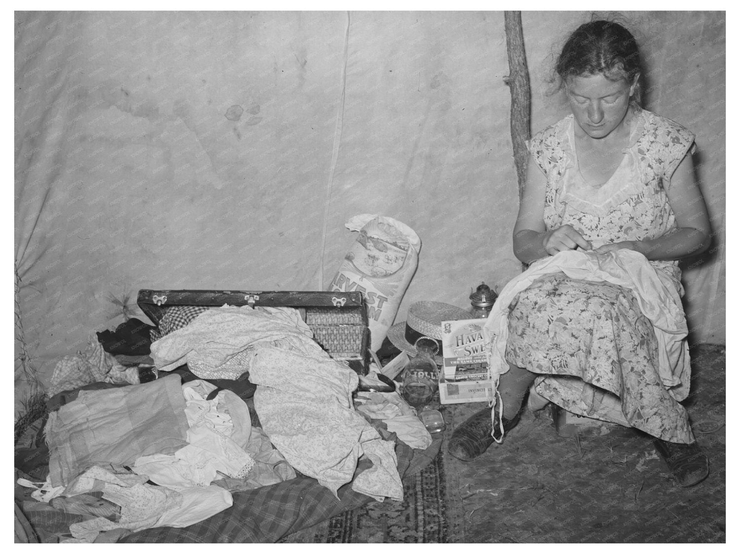 Migrant Laborers Tent Interior Vian Oklahoma June 1939