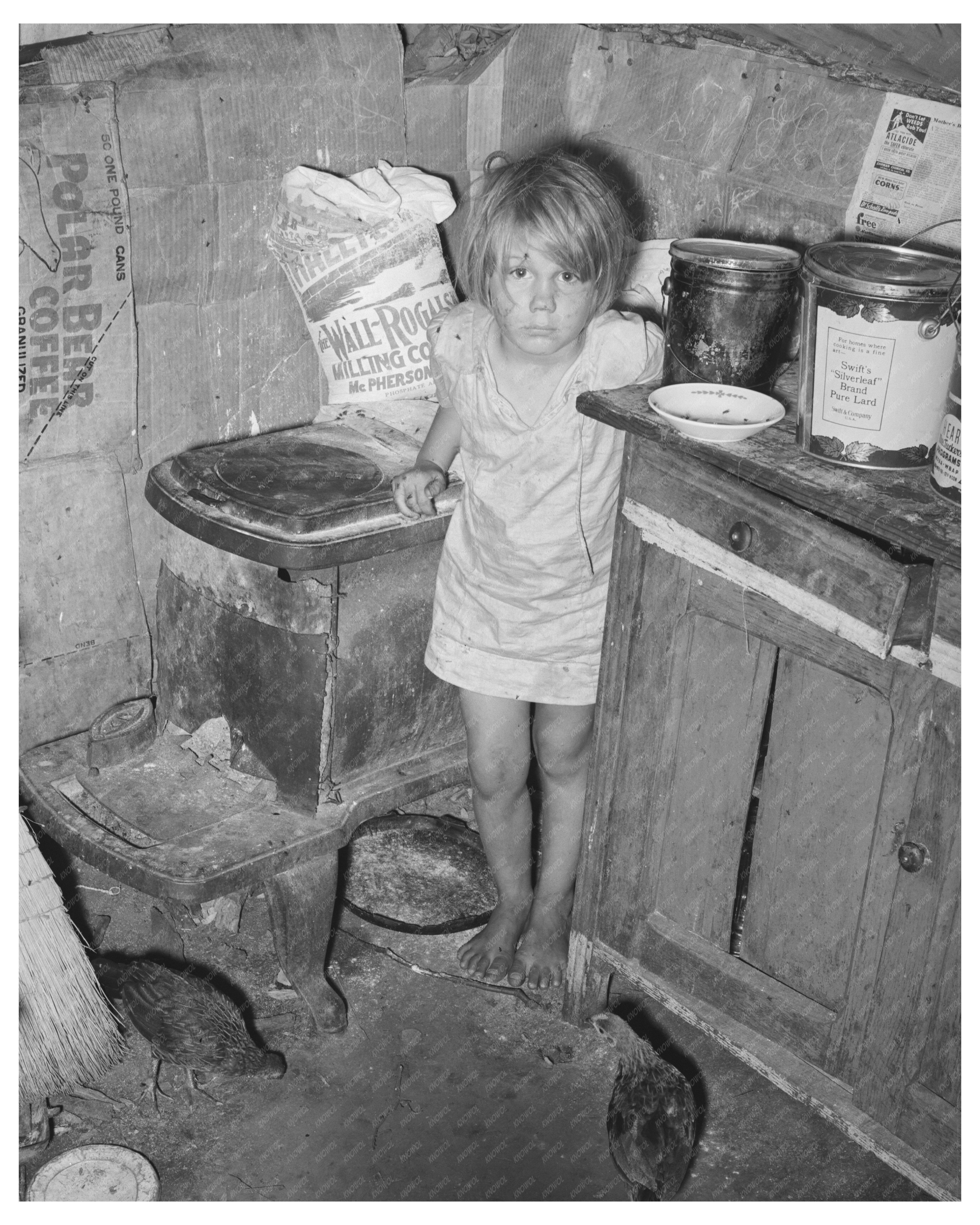 Vintage Kitchen in Tent Home Sequoyah County 1939