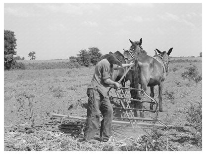 Tenant Farmer Adjusts Harrow Muskogee Oklahoma July 1939