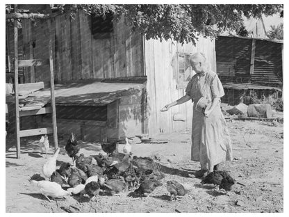 Woman Feeding Chickens on Tenant Farm Oklahoma 1939
