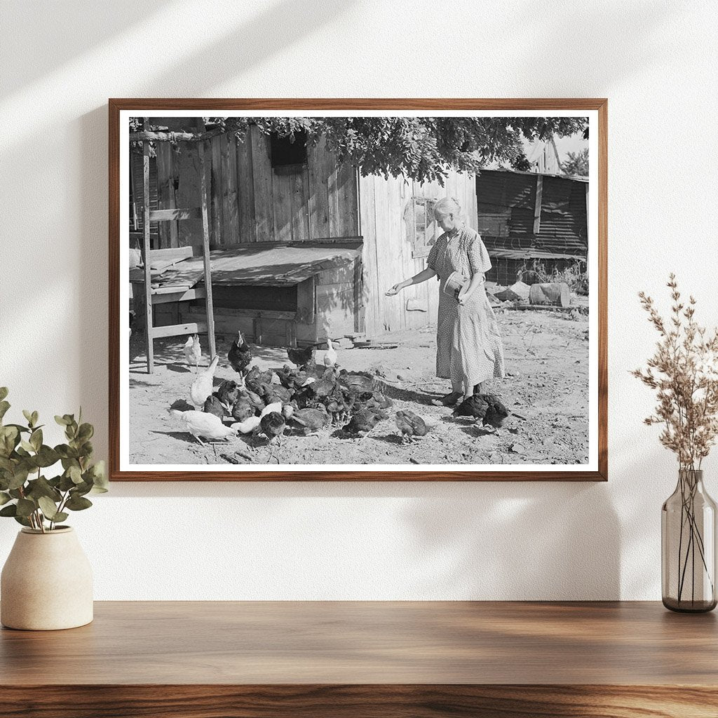 Woman Feeding Chickens on Tenant Farm Oklahoma 1939