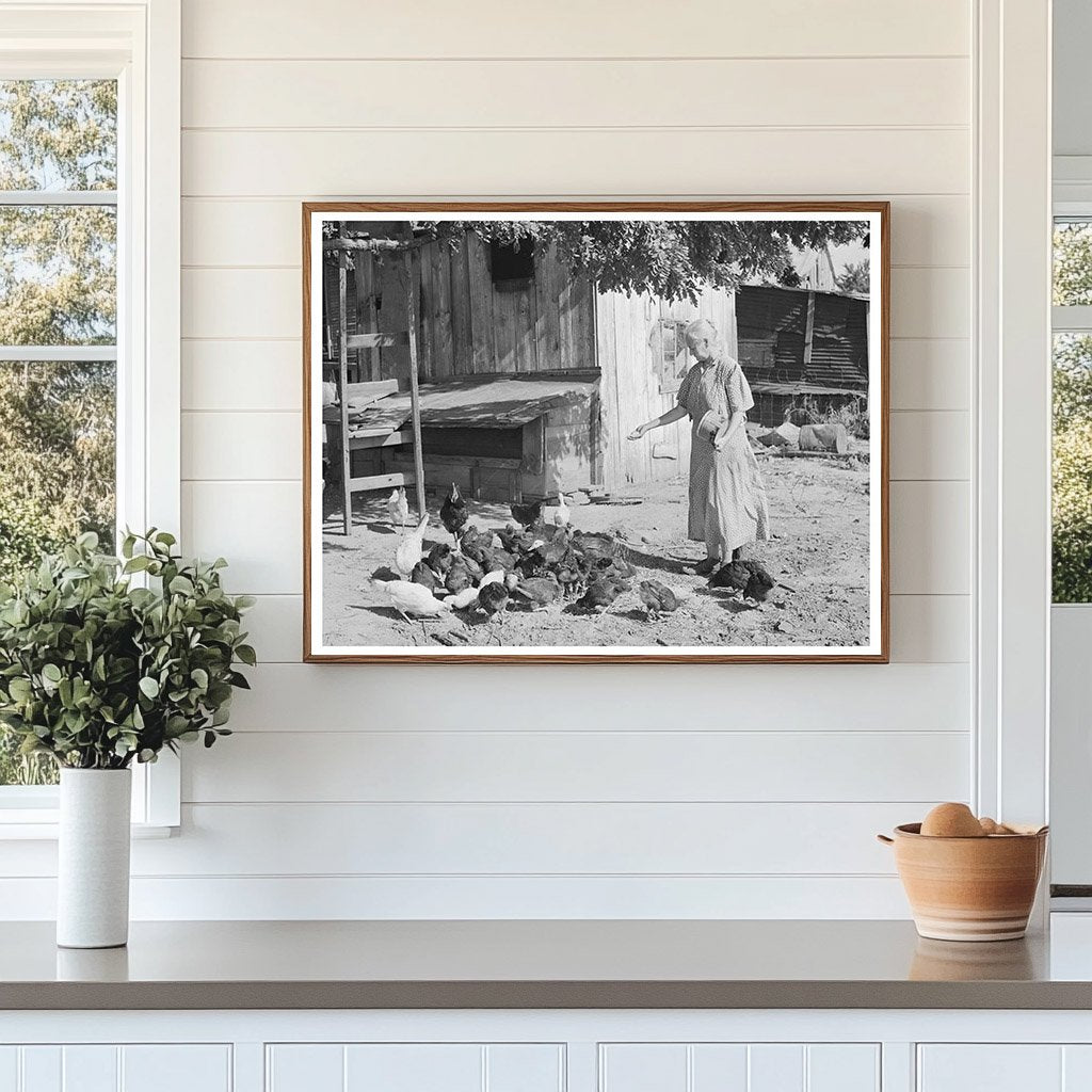 Woman Feeding Chickens on Tenant Farm Oklahoma 1939
