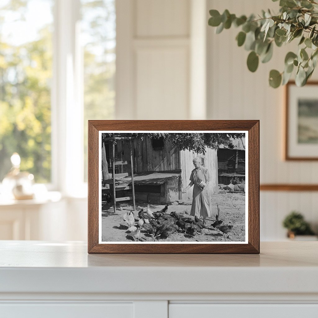 Tenant Farmers Wife Feeding Chickens Muskogee Oklahoma 1939