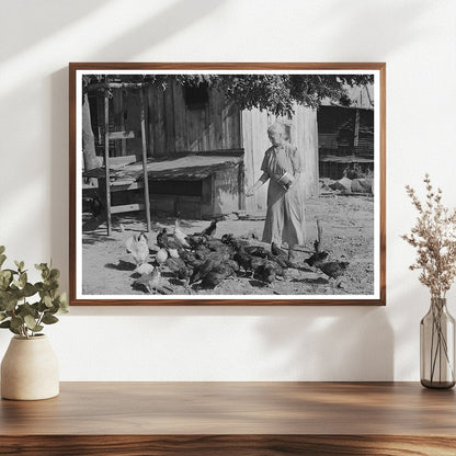 Tenant Farmers Wife Feeding Chickens Muskogee Oklahoma 1939