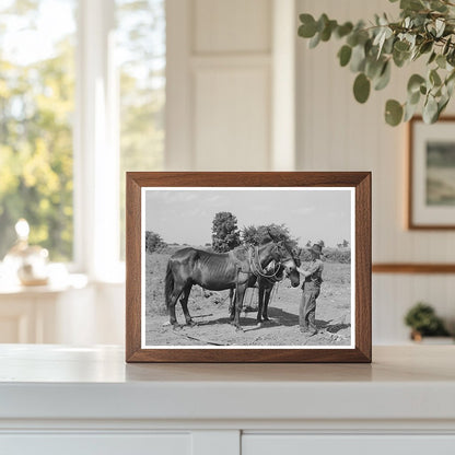 Vintage 1939 Boy with Mules in Muskogee Oklahoma
