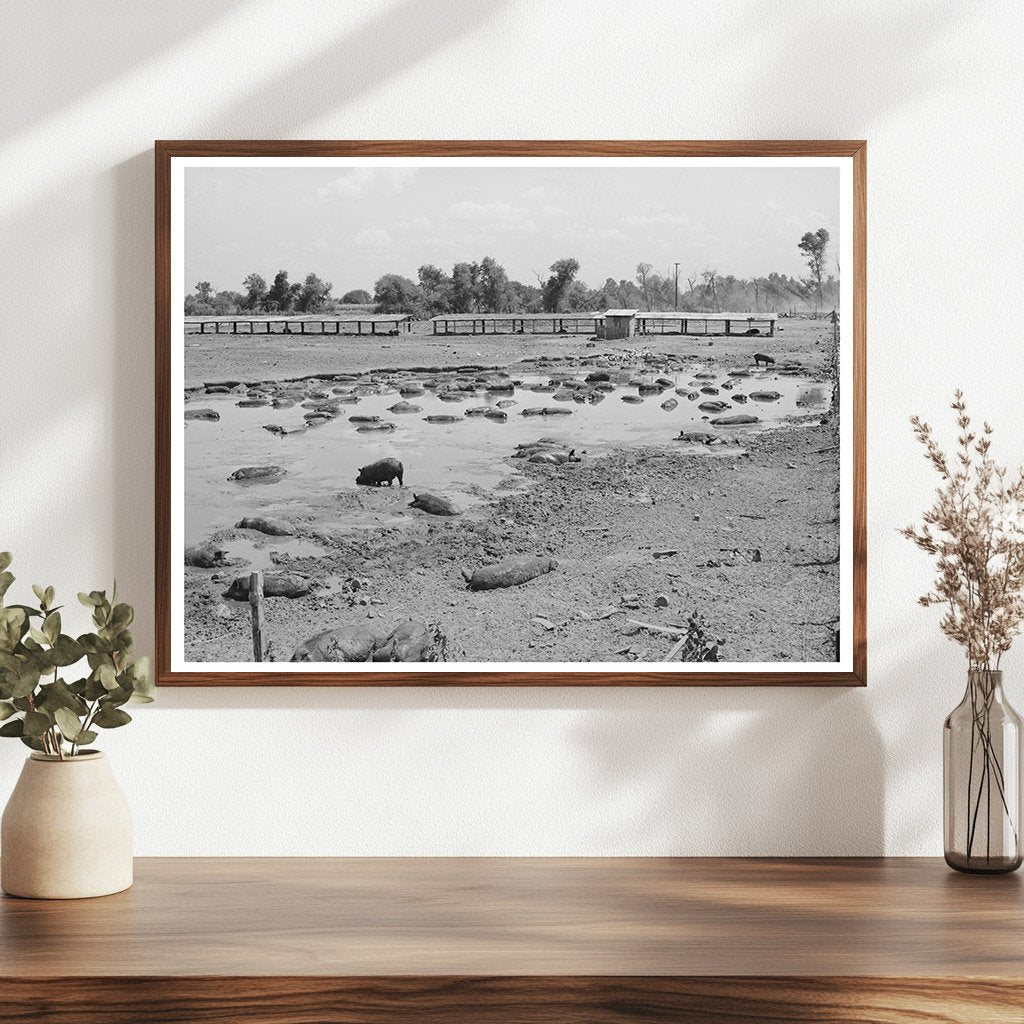 Hog Pen and Wallow by Oklahoma City Dump July 1939