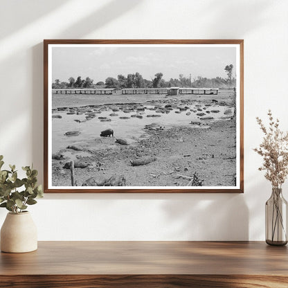Hog Pen and Wallow by Oklahoma City Dump July 1939