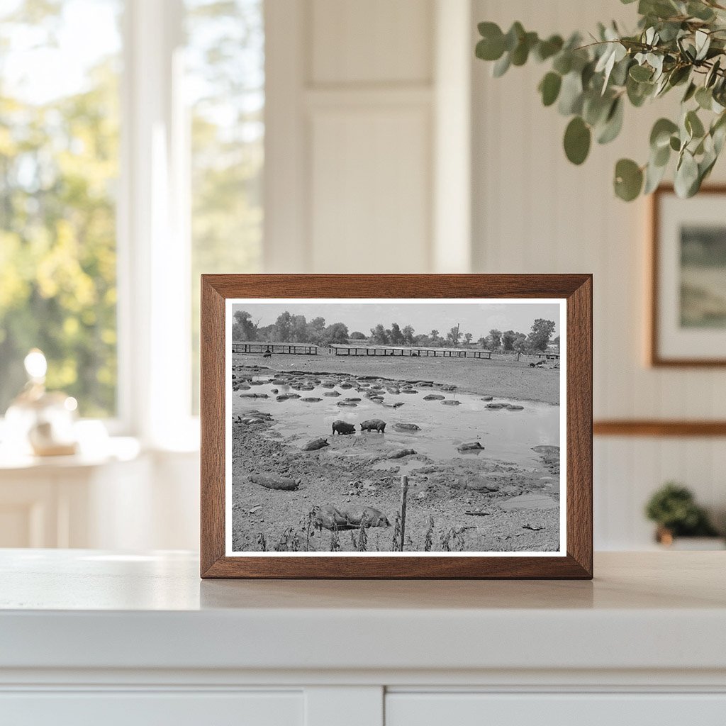 Hog Pen and Wallow Near Oklahoma City Dump July 1939