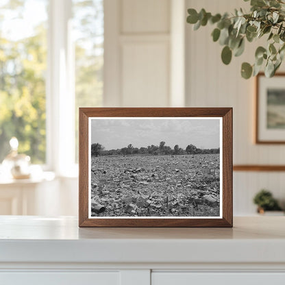 Oklahoma City dump July 1939 historical photo