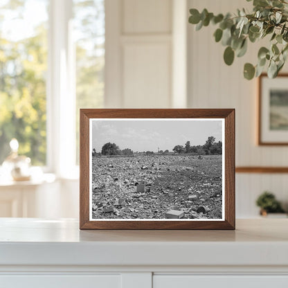 Oklahoma City Dump Vintage Photo July 1939