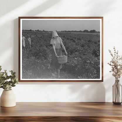 Young Girl Picking Tomatoes in Oklahoma July 1939