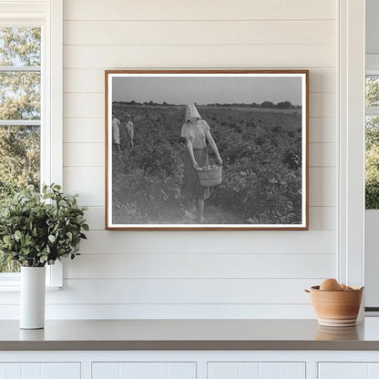 Young Girl Picking Tomatoes in Oklahoma July 1939