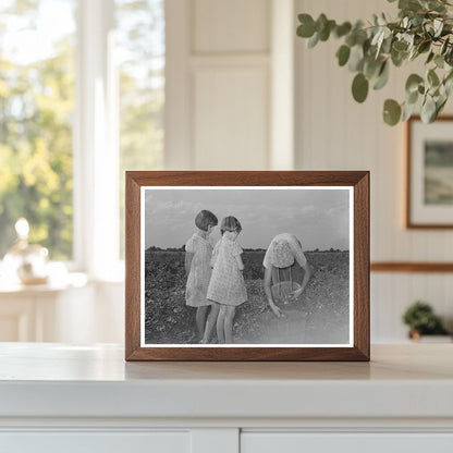Daughter of Tenant Farmer Picking Tomatoes July 1939
