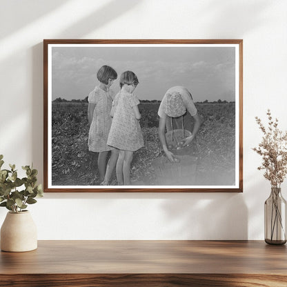 Daughter of Tenant Farmer Picking Tomatoes July 1939