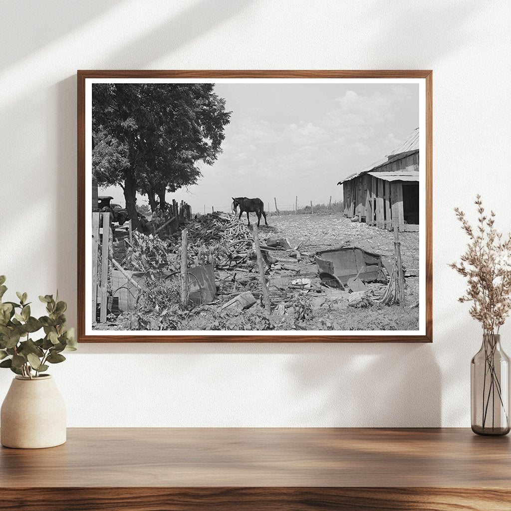 Tenant Farmer Barnyard Muskogee Oklahoma July 1939