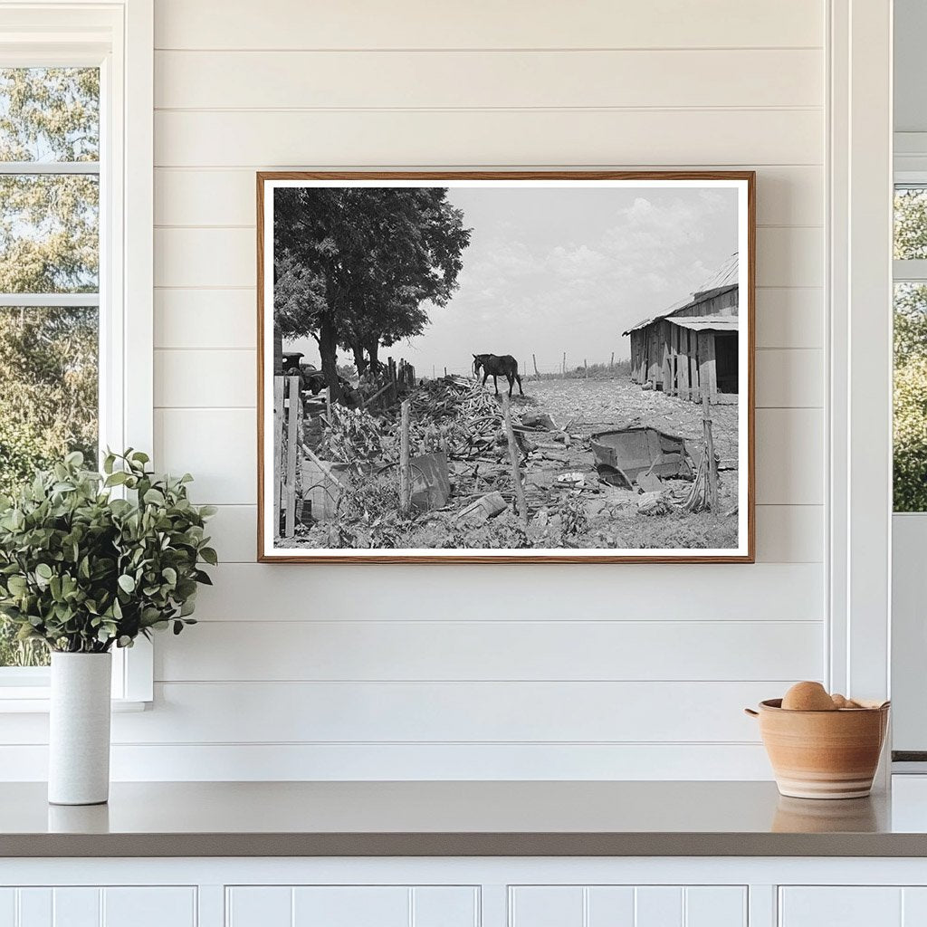 Tenant Farmer Barnyard Muskogee Oklahoma July 1939