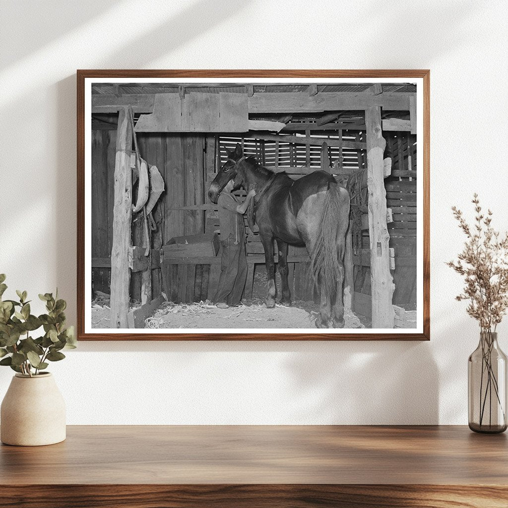 Tenant Farmers Son Harnessing Horse Muskogee 1939