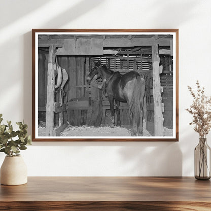 Tenant Farmers Son Harnessing Horse Muskogee 1939