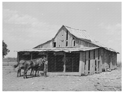 Tenant Farmer Barn Muskogee Oklahoma July 1939
