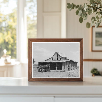 Tenant Farmer Barn Muskogee Oklahoma July 1939