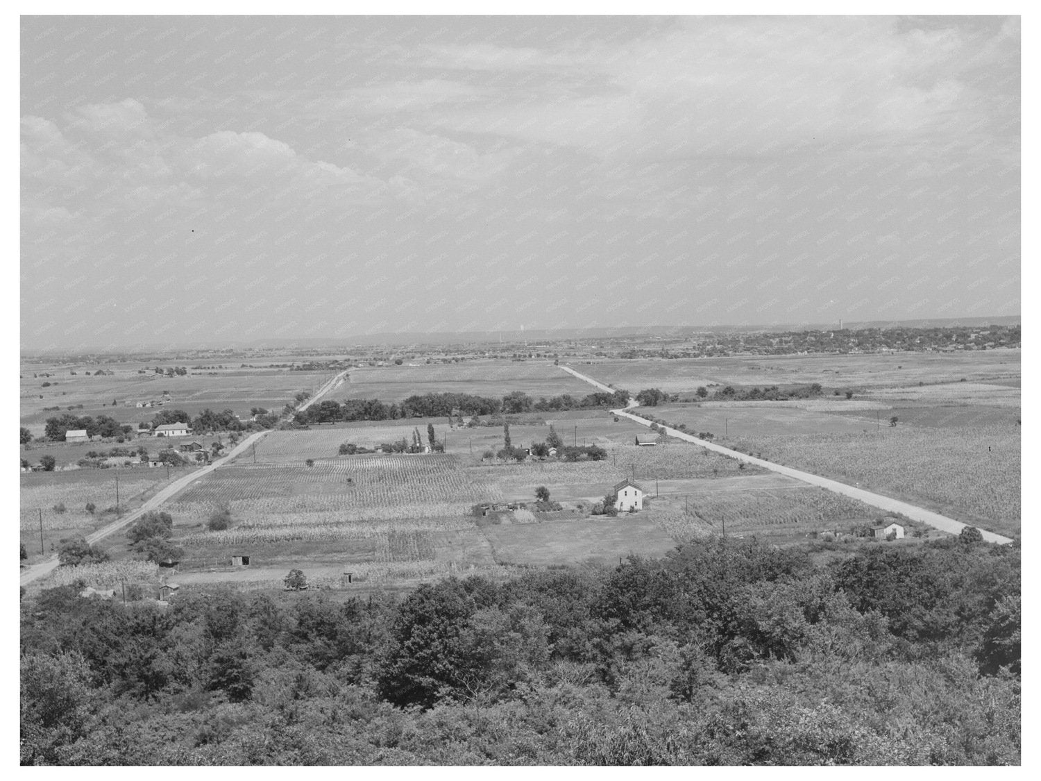 Muskogee Oklahoma Farm Scene July 1939 Historical Image