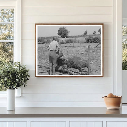 Daughter of Tenant Farmer Feeding Hogs Muskogee 1939