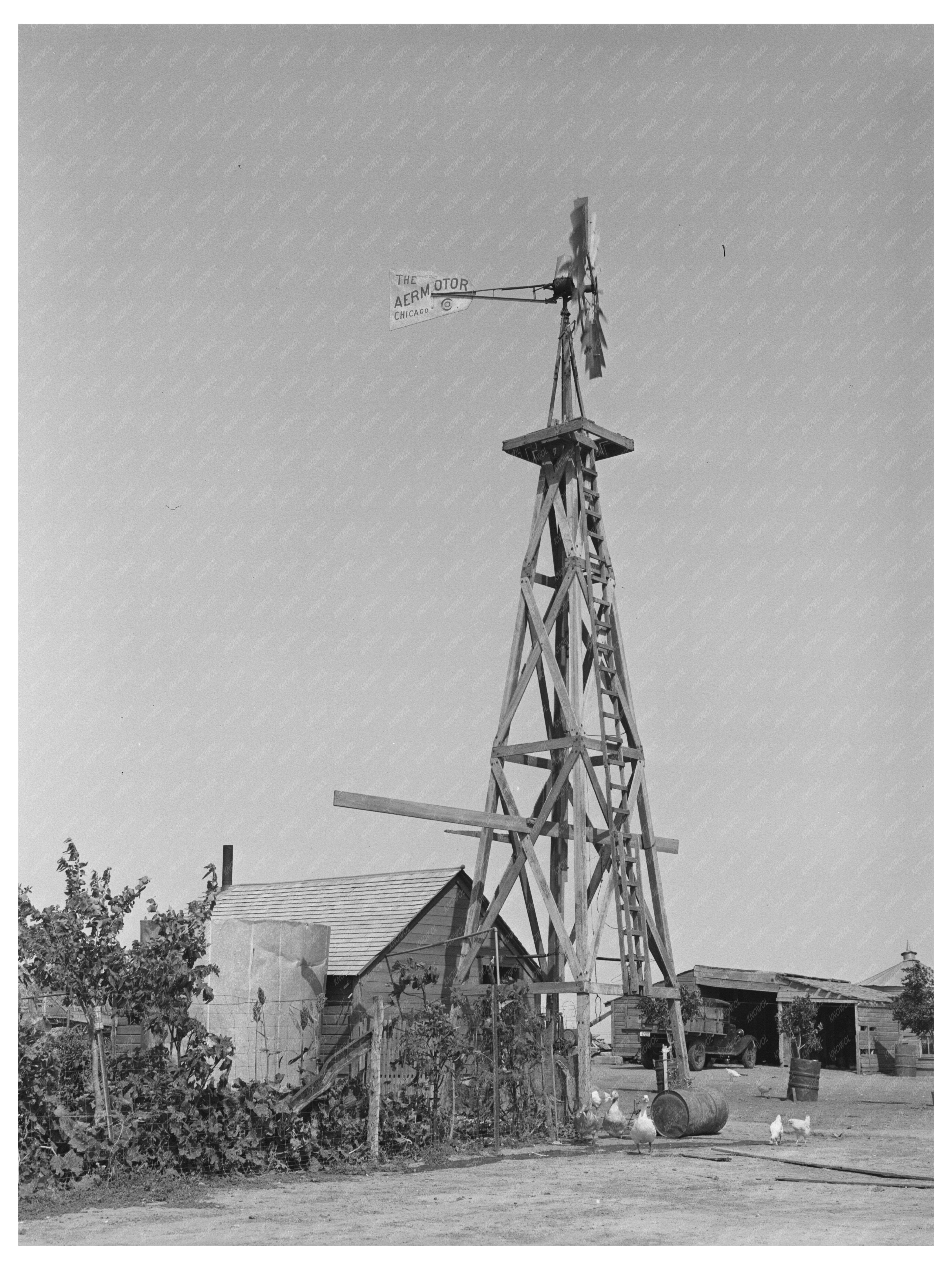 Windmill on William Ralls Farm Kansas August 1939