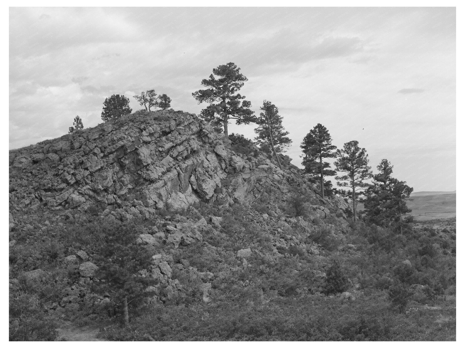 Vintage 1939 Mountain Scene Near Capulin New Mexico