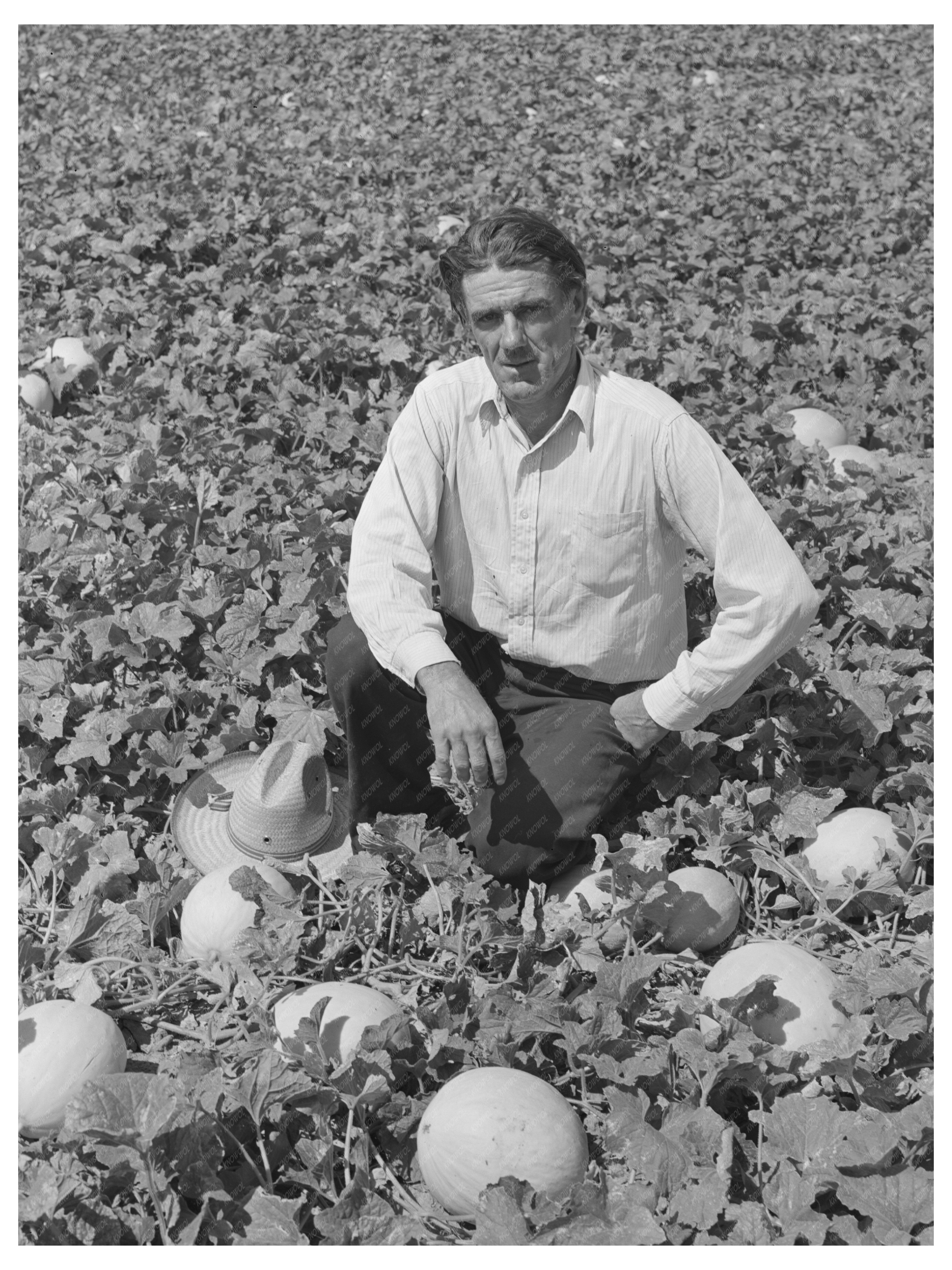 Ernest W. Kirk Jr. with Honeydew Melons September 1939
