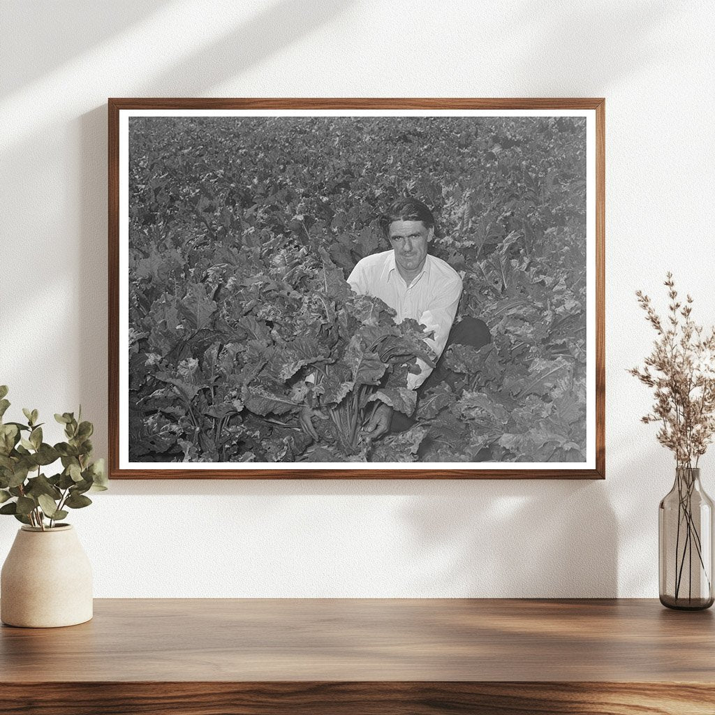 Ernest W. Kirk Jr. in Sugar Beet Field Colorado 1939