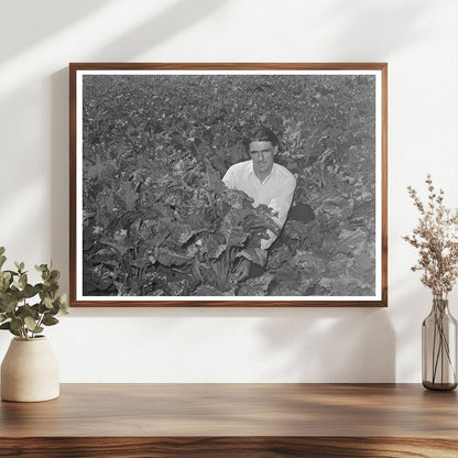 Ernest W. Kirk Jr. in Sugar Beet Field Colorado 1939