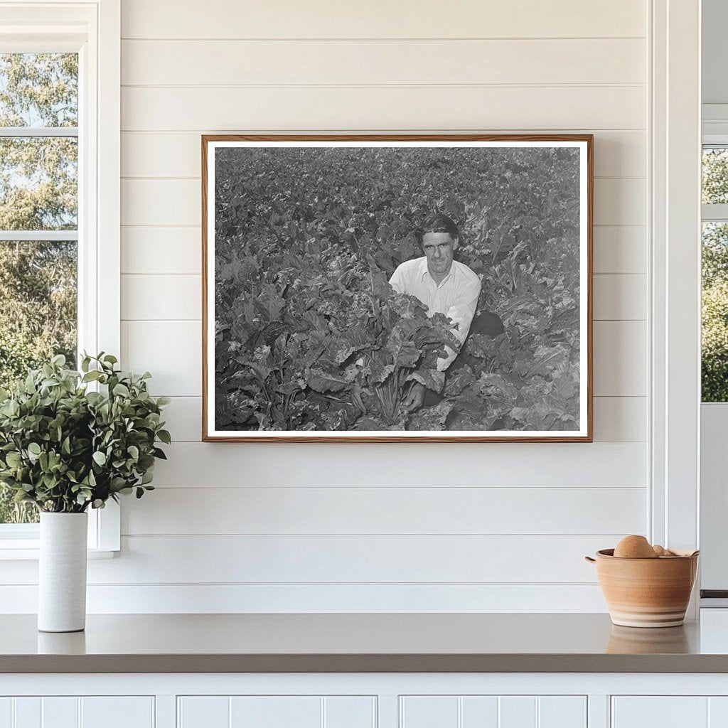 Ernest W. Kirk Jr. in Sugar Beet Field Colorado 1939