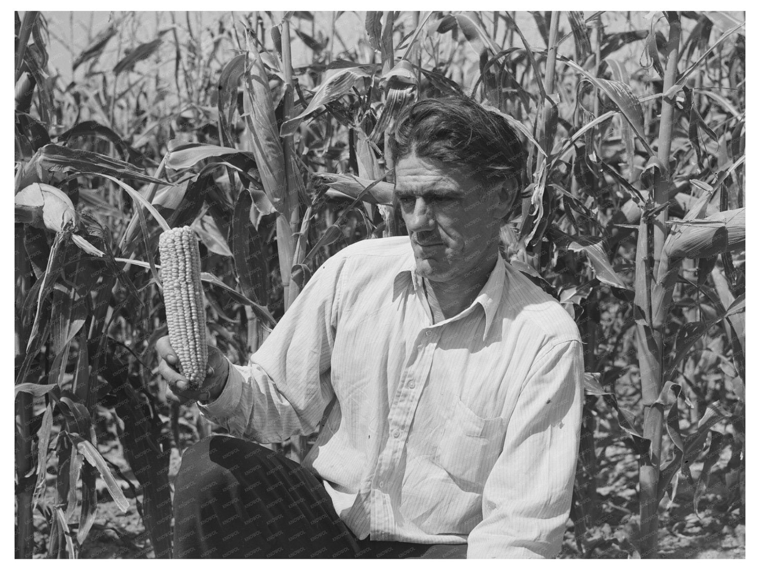 Ernest W. Kirk Jr. with Hybrid Corn Colorado 1939