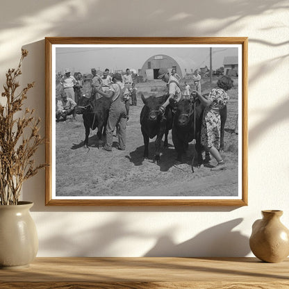 1939 4-H Fair Prize Bulls Sublette Kansas Agriculture Scene