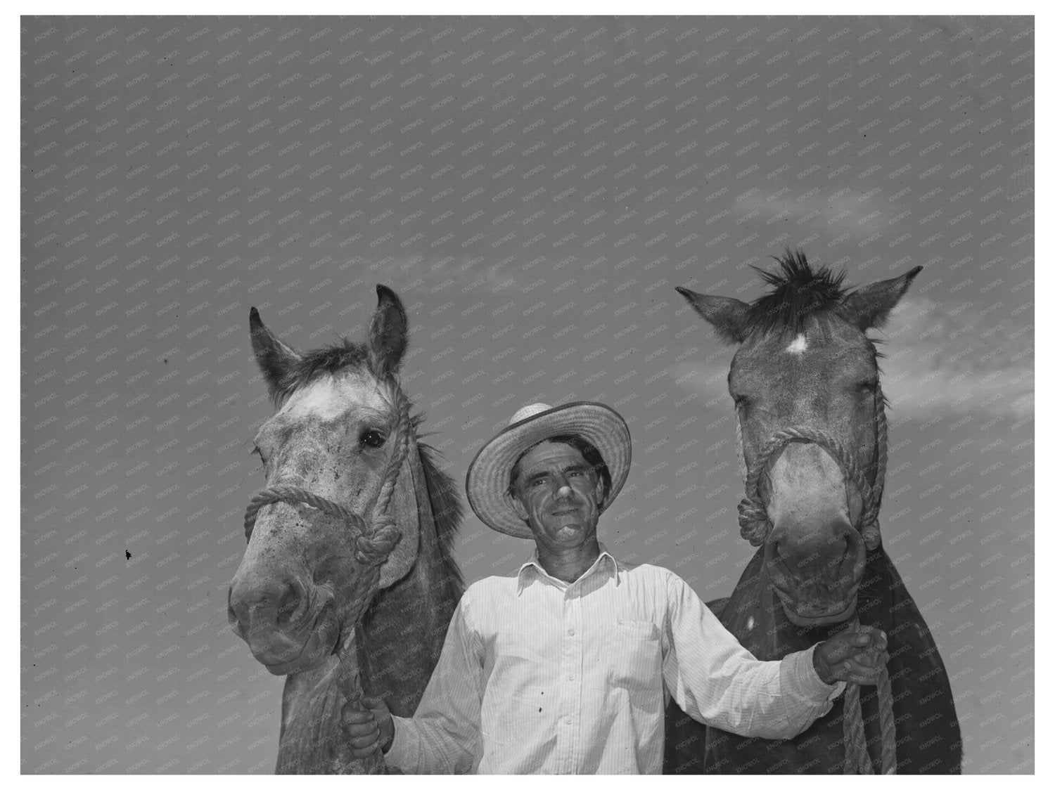 Ernest W. Kirk Jr. with Mules in Ordway Colorado 1939