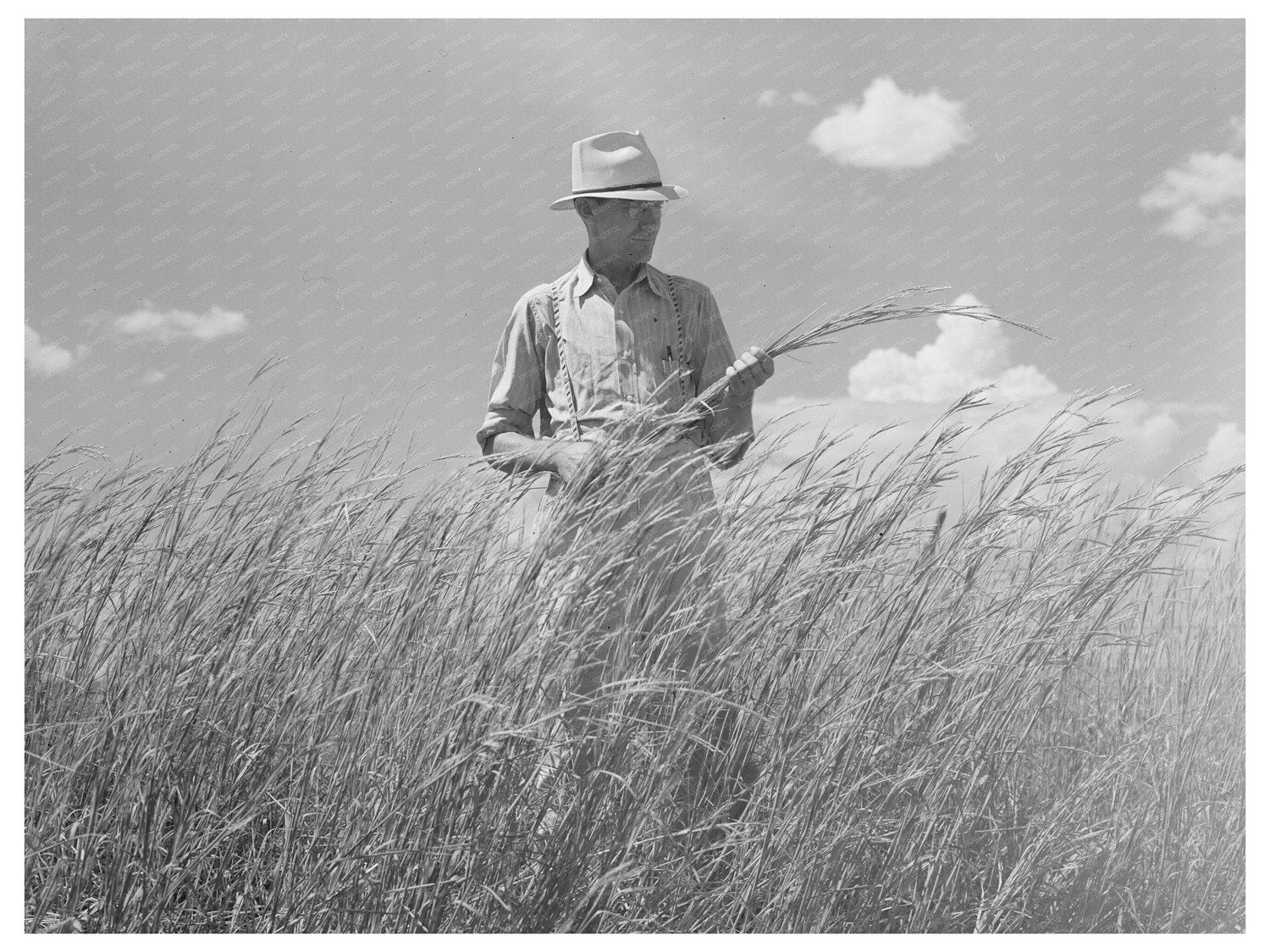 Farm Supervisor in Baca County Colorado September 1939