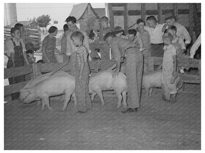 4-H Fair Sublette Kansas 1939 Pig Display