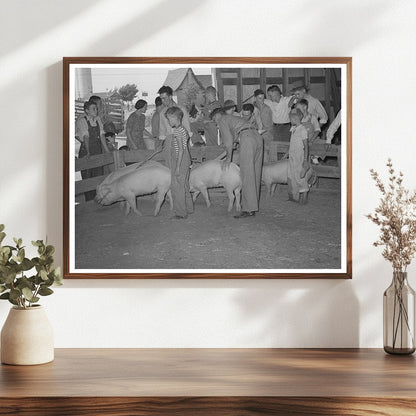 4-H Fair Sublette Kansas 1939 Pig Display