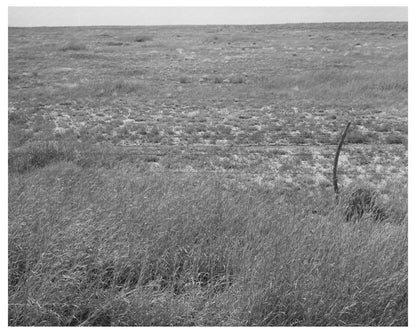 Baca County Colorado Grassland September 1939 Image