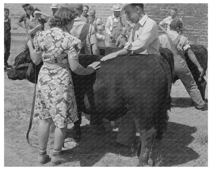 County Agent Judging Yearling Bull at 4-H Fair 1939