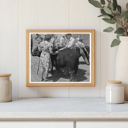 County Agent Judging Yearling Bull at 4-H Fair 1939