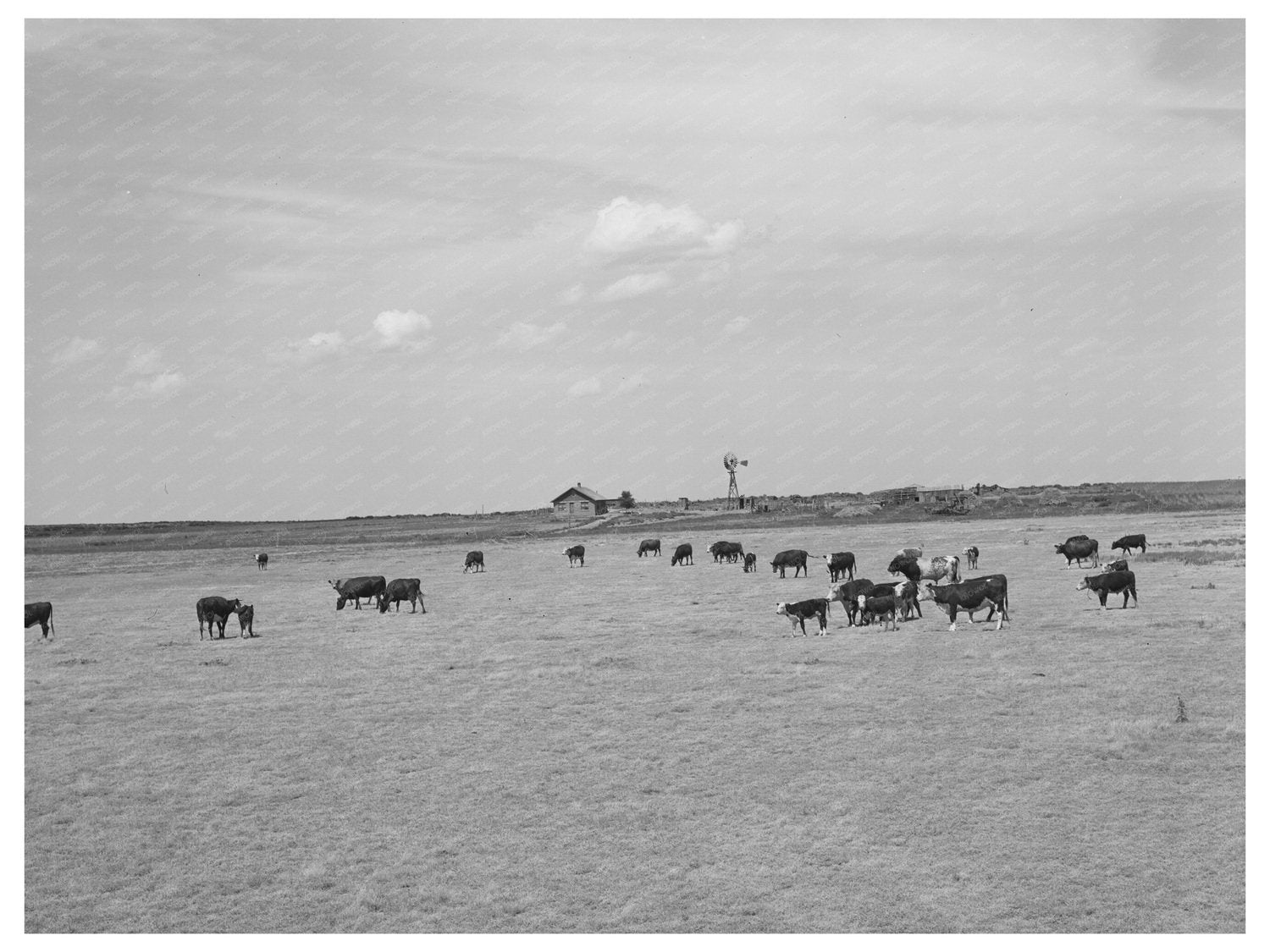 Bosley Reorganization Unit Baca County Colorado 1939
